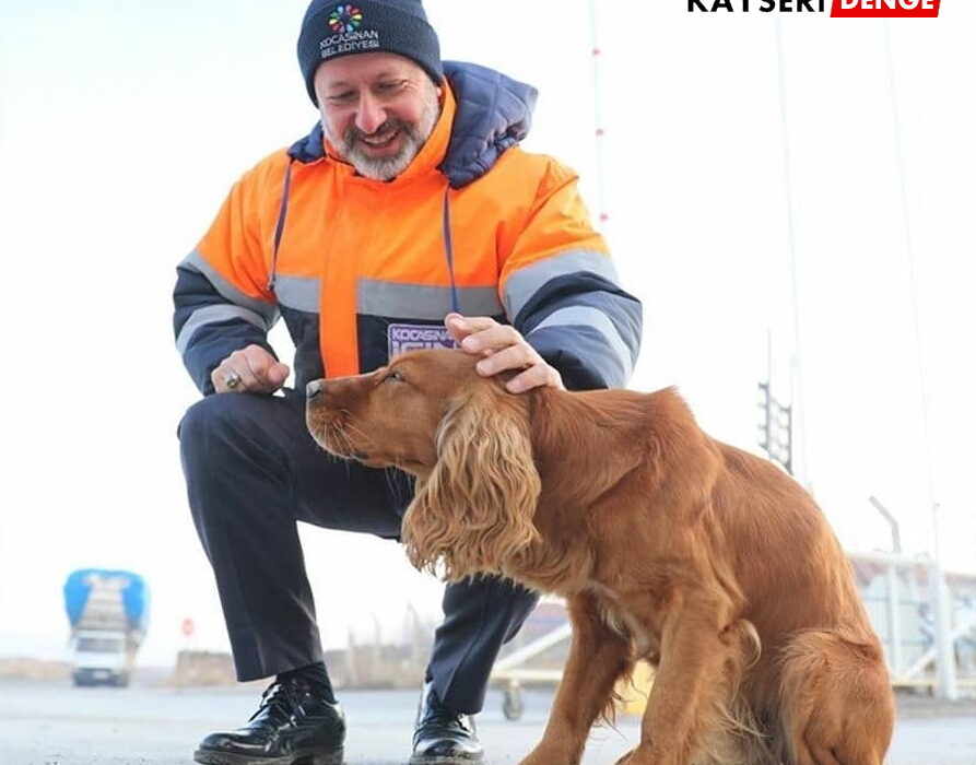 KOCASİNAN BELEDİYESİ SOKAK HAYVANLARINI UNUTMADI